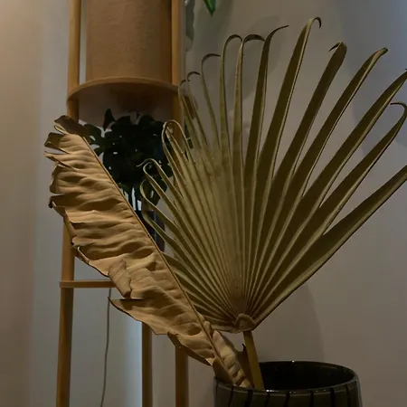 Strasbourg, Sauna, Spa, Bali, évasion Romantique Et Sensuelle *
